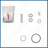 KIT TIPO ICETEAM 301 BIB  -  401 BIB