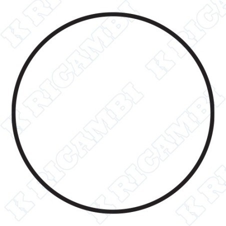 O-RING PORTELLO Ø 287 mm