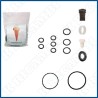 KIT TIPO CARPIGIANI RAPIDA