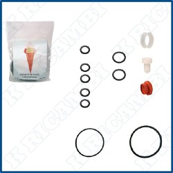 KIT TIPO CARPIGIANI AES 261 SP EVO