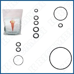 KIT TIPO CARPIGIANI PASTOMASTER 60 RTX