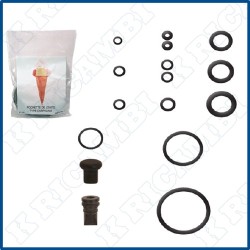 KIT TIPO CARPIGIANI MINIWIP/G - MASTERWIP/G
