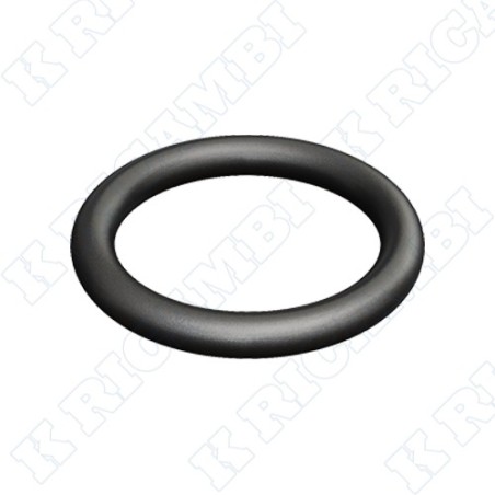 O-RING 841000251