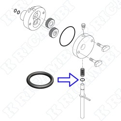 O-RING REGOLATORE POMPA 841000119