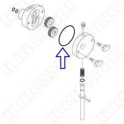 O-RING POMPA 841000238