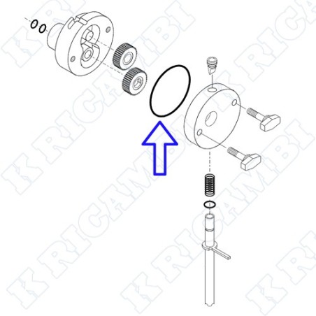 O-RING POMPA 841000238