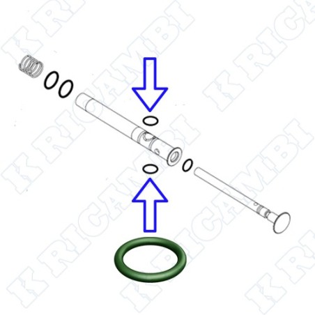 O-RING 841000424